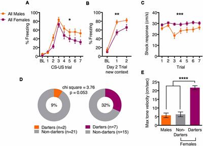 Behavioral Diversity Across Classic Rodent Models Is Sex-Dependent